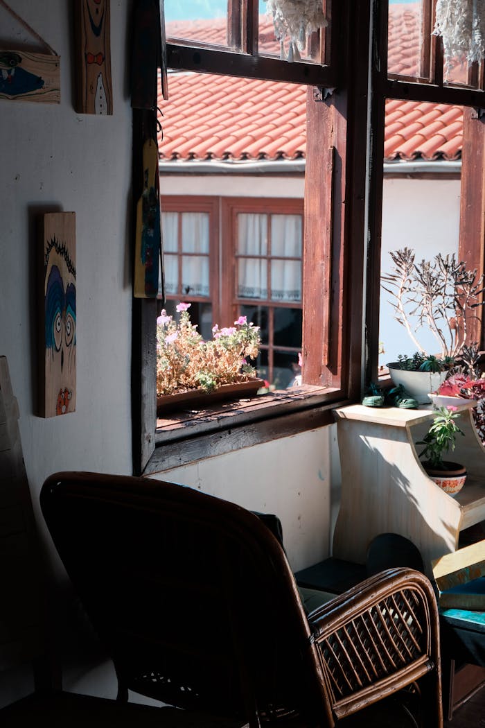 creative-02 A sunlit room in Ankara showcasing a view through the window with indoor plants and decor.